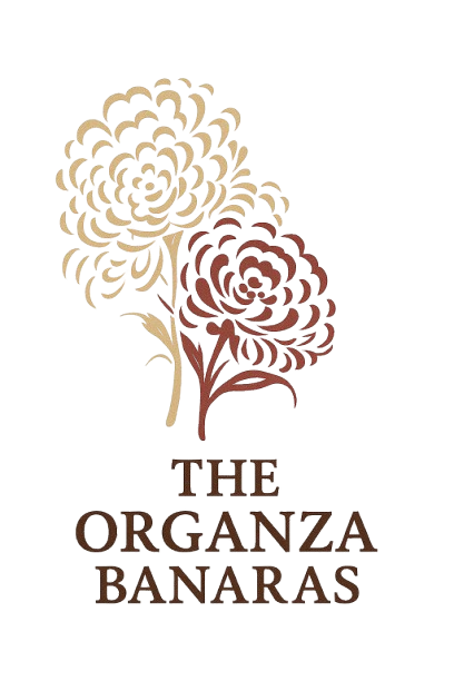 The Organza Banaras